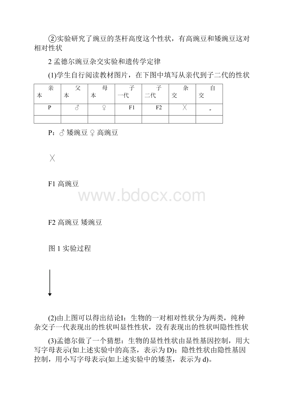 春人教版八年生物下册723基因的显性和隐性.docx_第3页