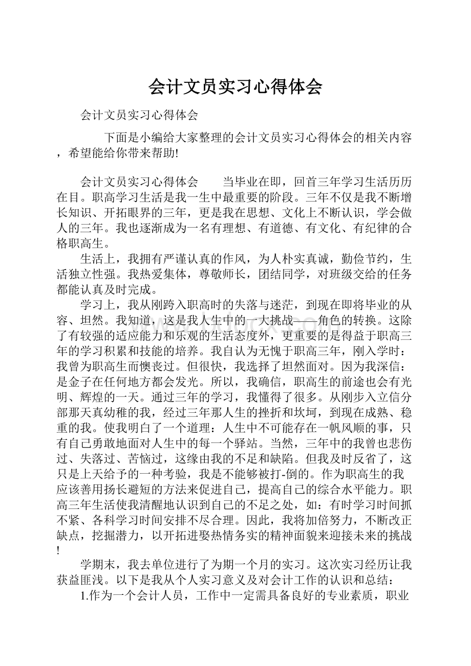 会计文员实习心得体会.docx