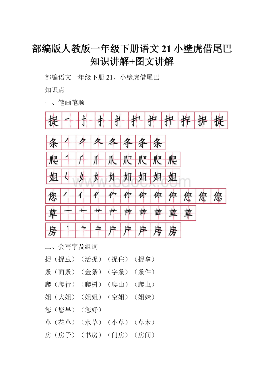 部编版人教版一年级下册语文21小壁虎借尾巴知识讲解+图文讲解.docx