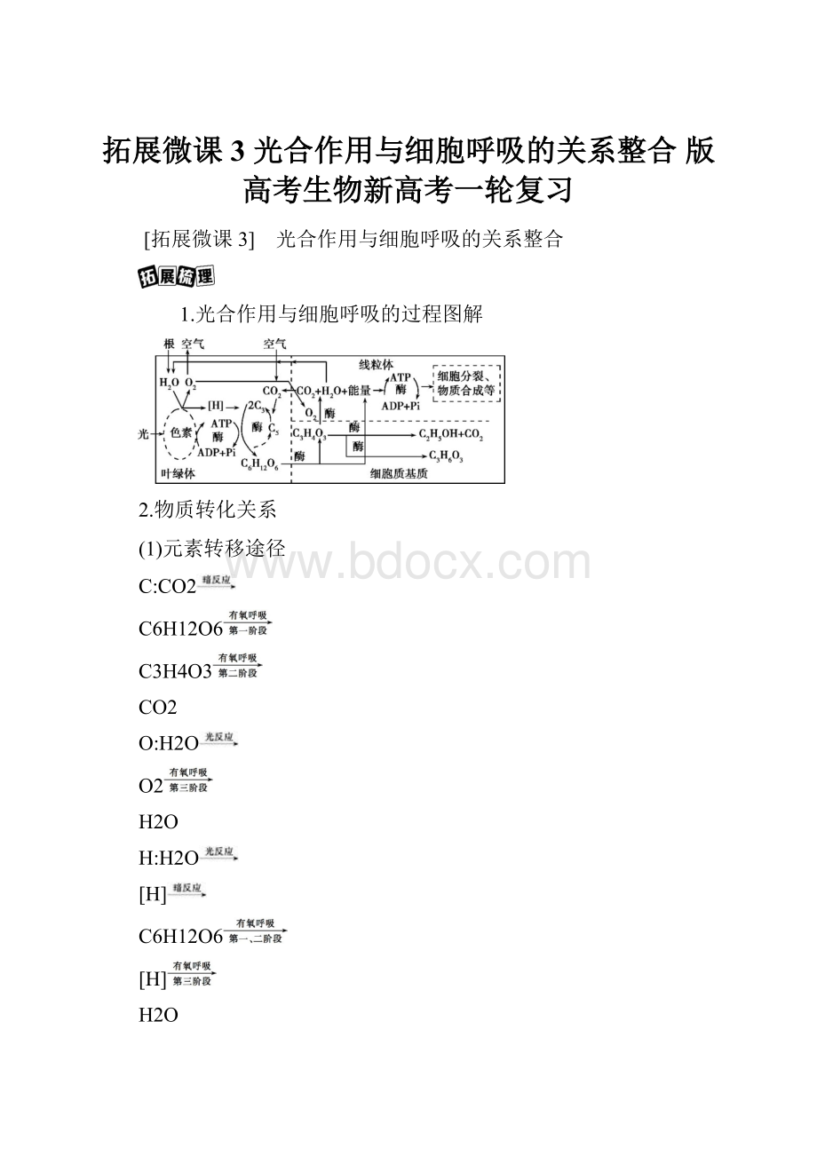 拓展微课3 光合作用与细胞呼吸的关系整合 版高考生物新高考一轮复习.docx