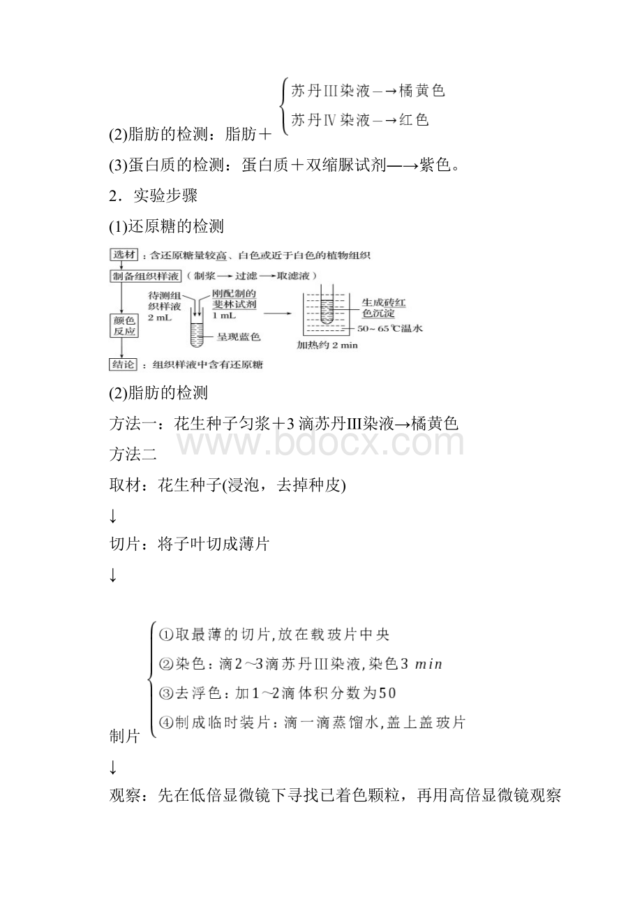 高考生物实验突破专题解读及模拟训练12专题.docx_第2页