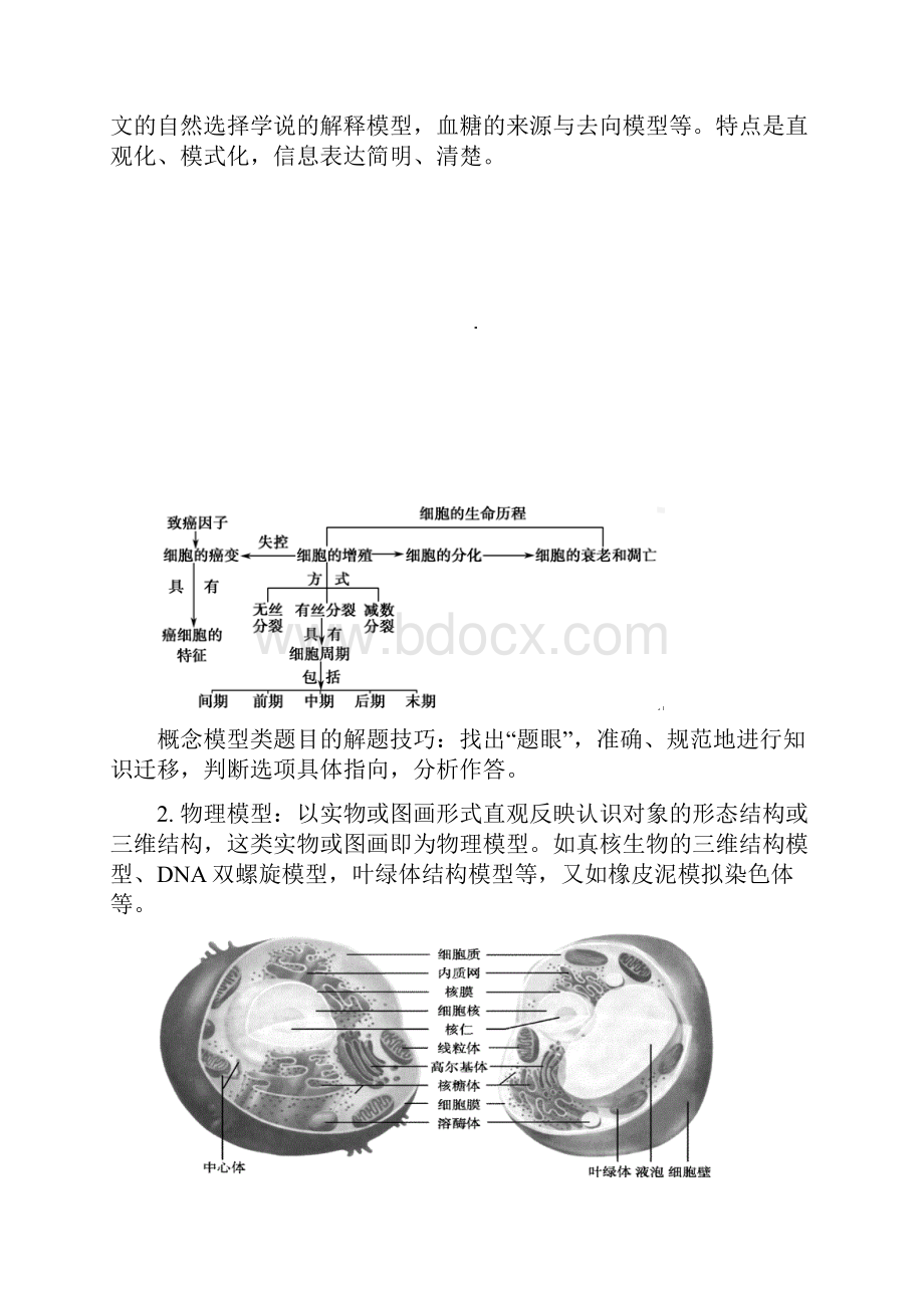 21高考复习专题解题技巧之生物模型的构建21.docx_第2页