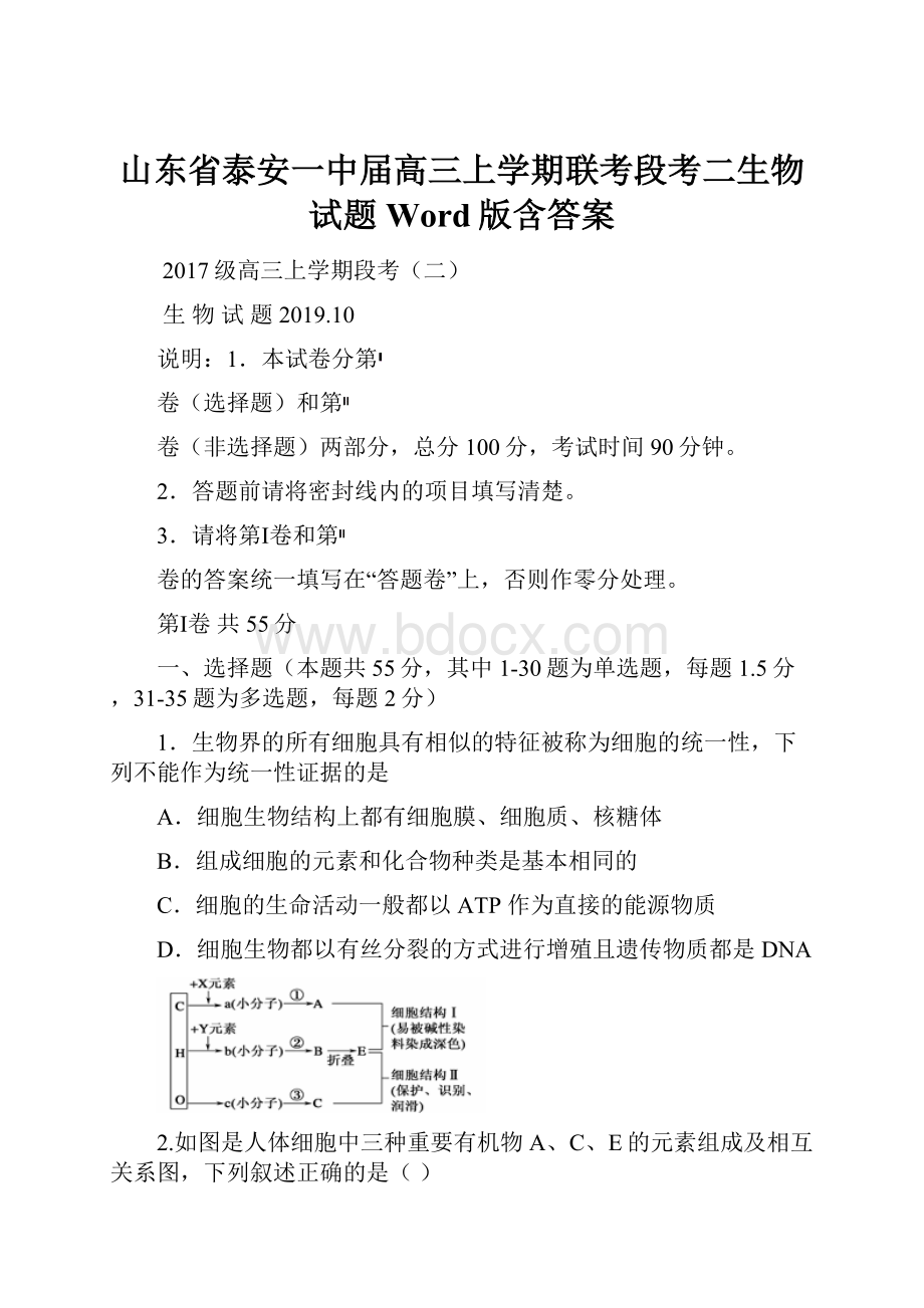 山东省泰安一中届高三上学期联考段考二生物试题 Word版含答案.docx