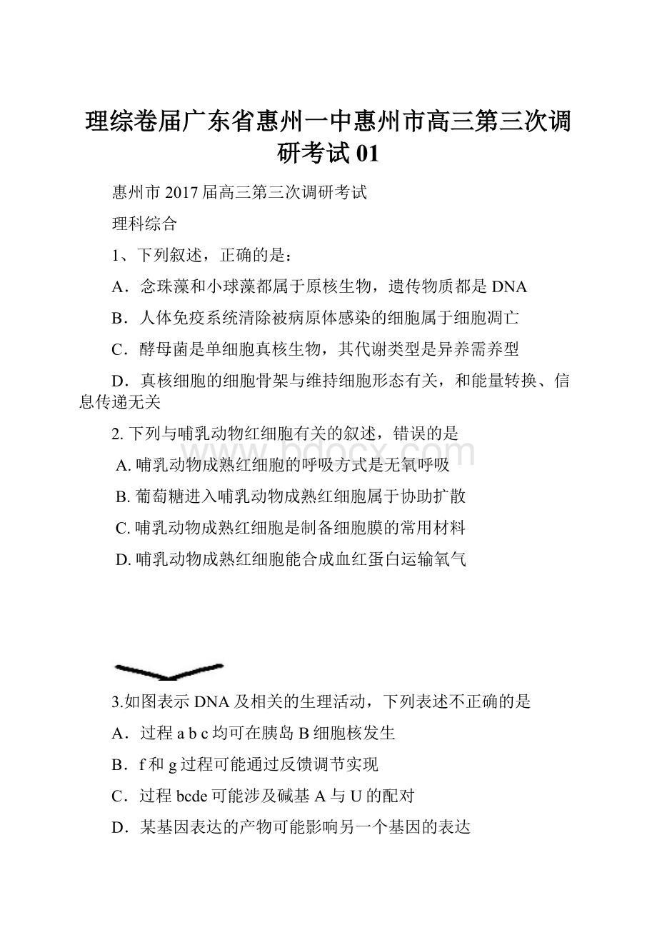 理综卷届广东省惠州一中惠州市高三第三次调研考试01.docx