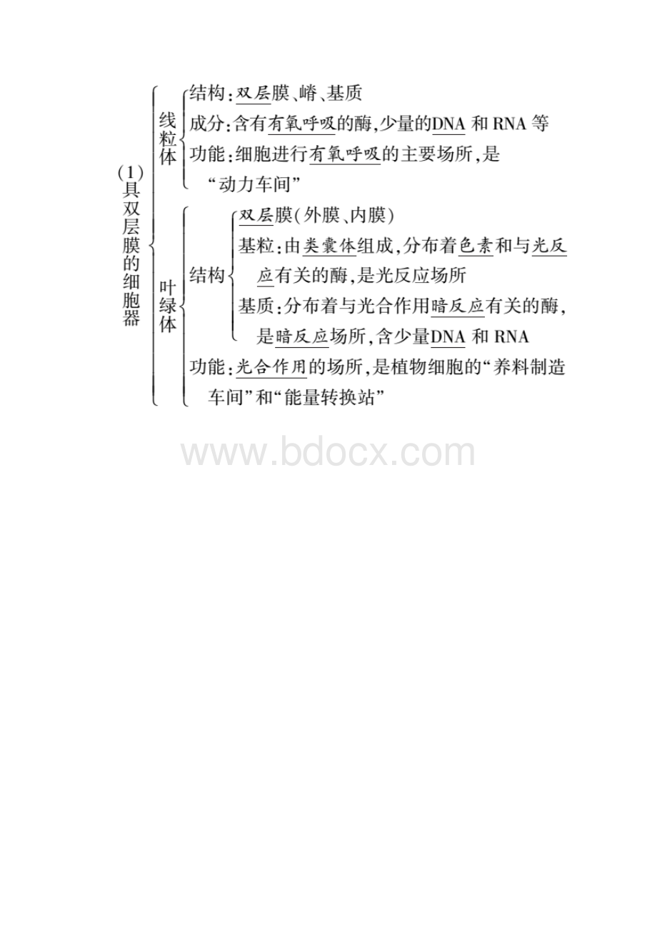 高中生物考点 主要细胞器的结构和功能.docx_第2页