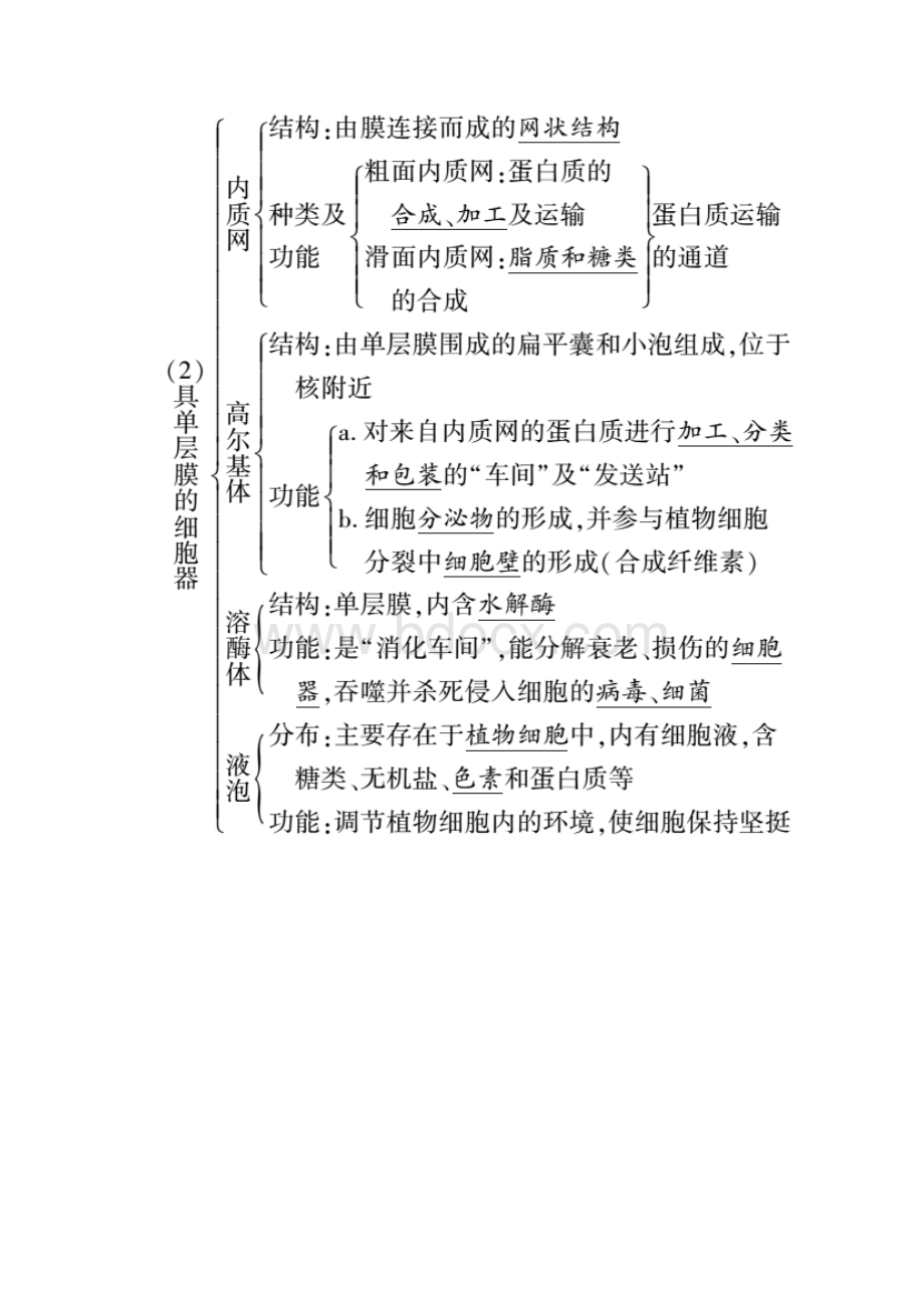 高中生物考点 主要细胞器的结构和功能.docx_第3页