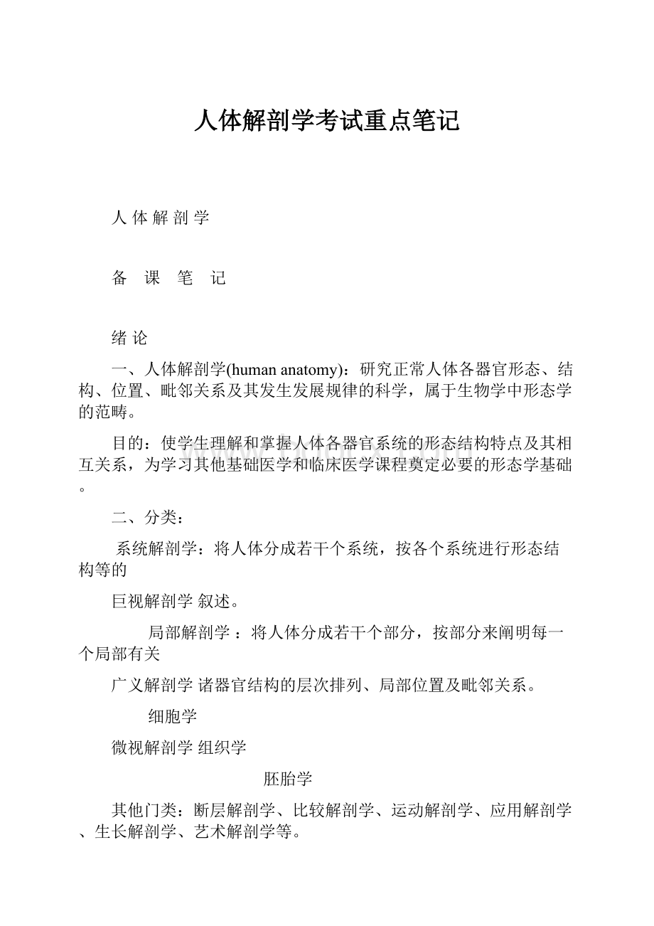 人体解剖学考试重点笔记.docx