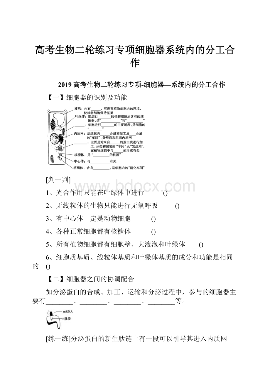 高考生物二轮练习专项细胞器系统内的分工合作.docx