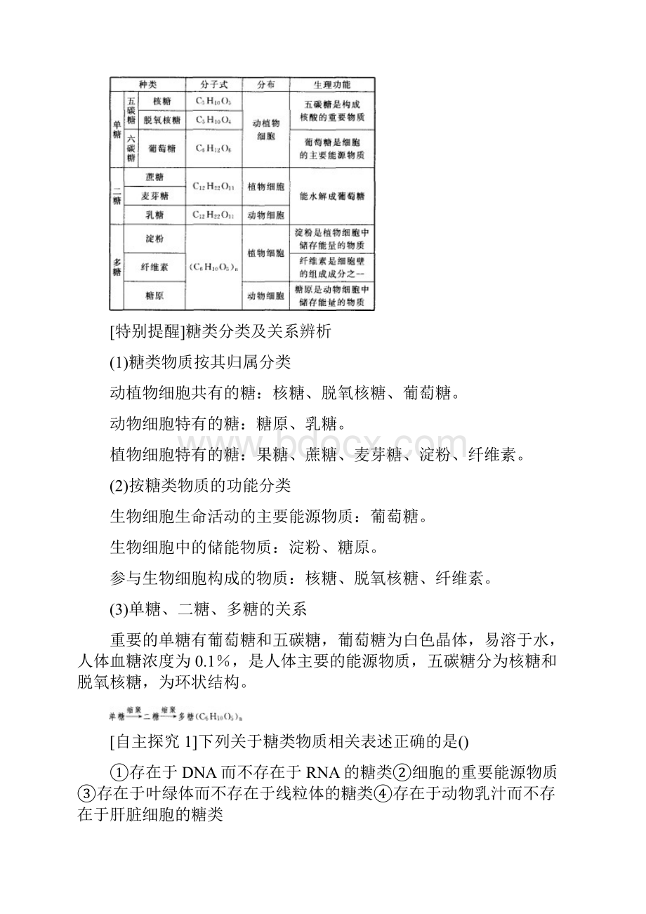 第4讲细胞中的糖类脂质高三复习非常学案.docx_第3页