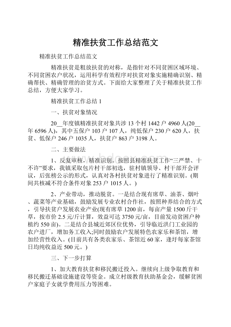 精准扶贫工作总结范文.docx