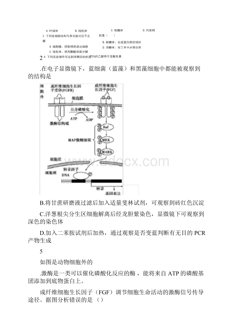 北京海淀区高三第二学期生物期中练习模拟三.docx_第2页