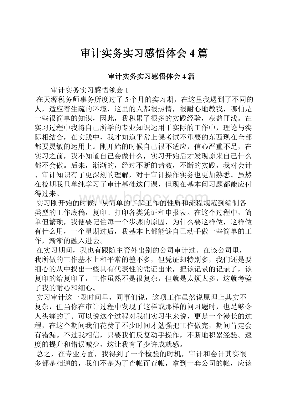 审计实务实习感悟体会4篇.docx