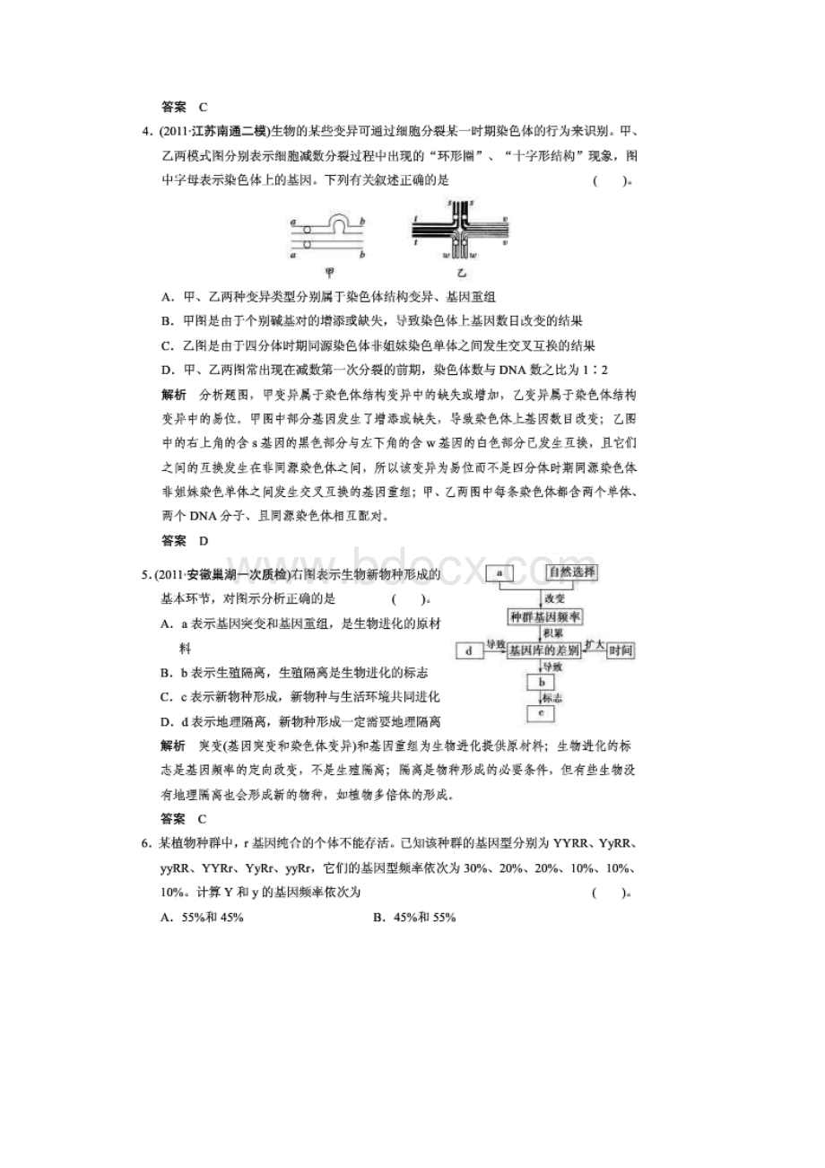 第3讲 生物的变异与进化.docx_第2页