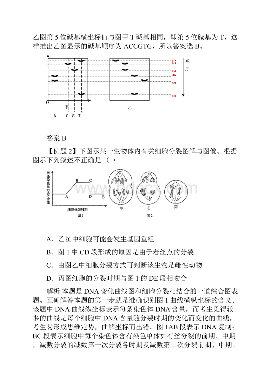 高考生物一轮复习生物图形图表信息题专题辅导.docx_第3页