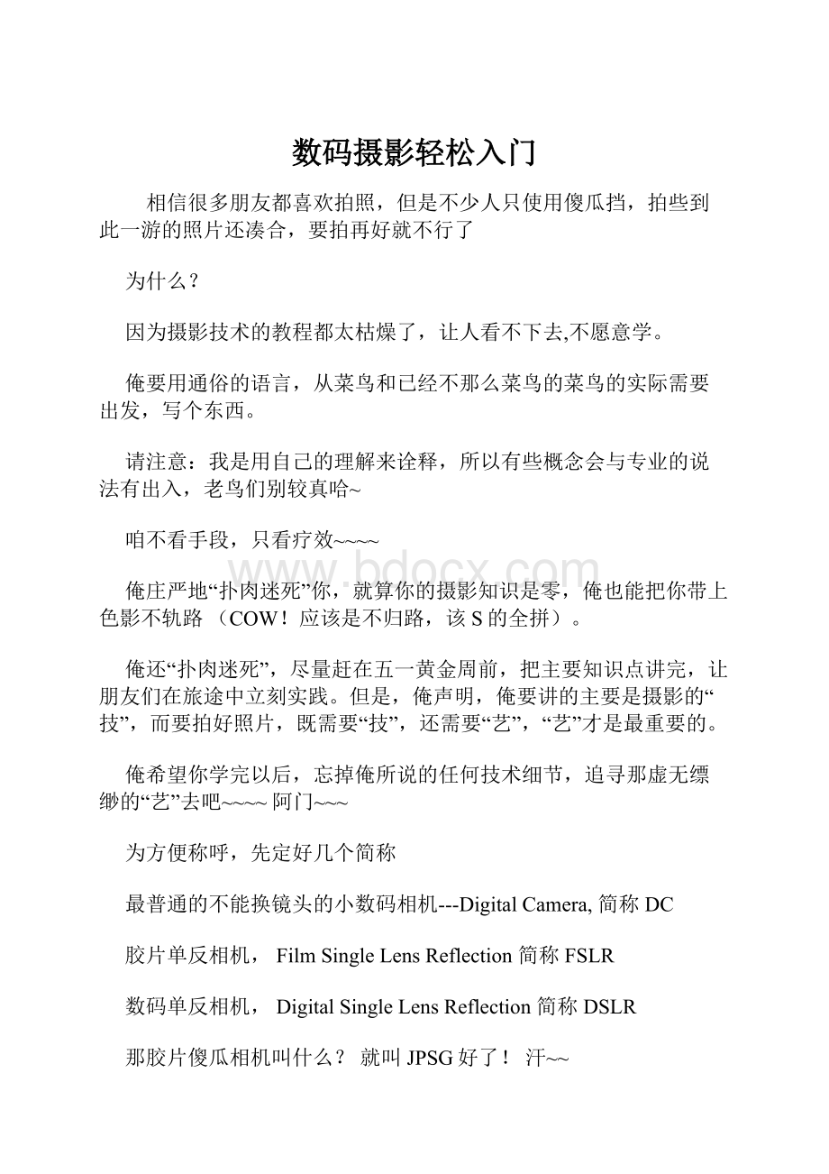 数码摄影轻松入门.docx