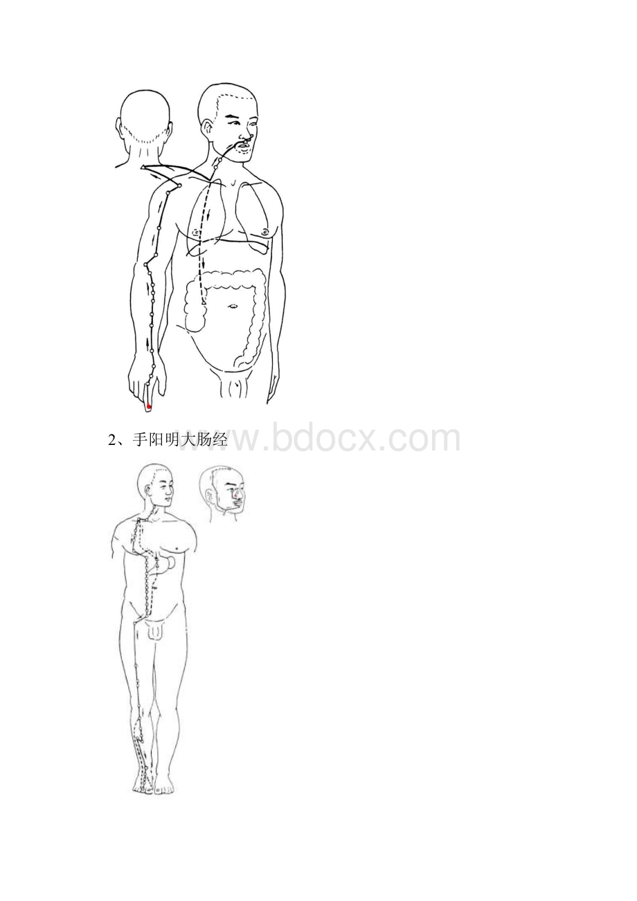 千金难买的12经络高清动画图一看就懂收藏起来.docx_第2页