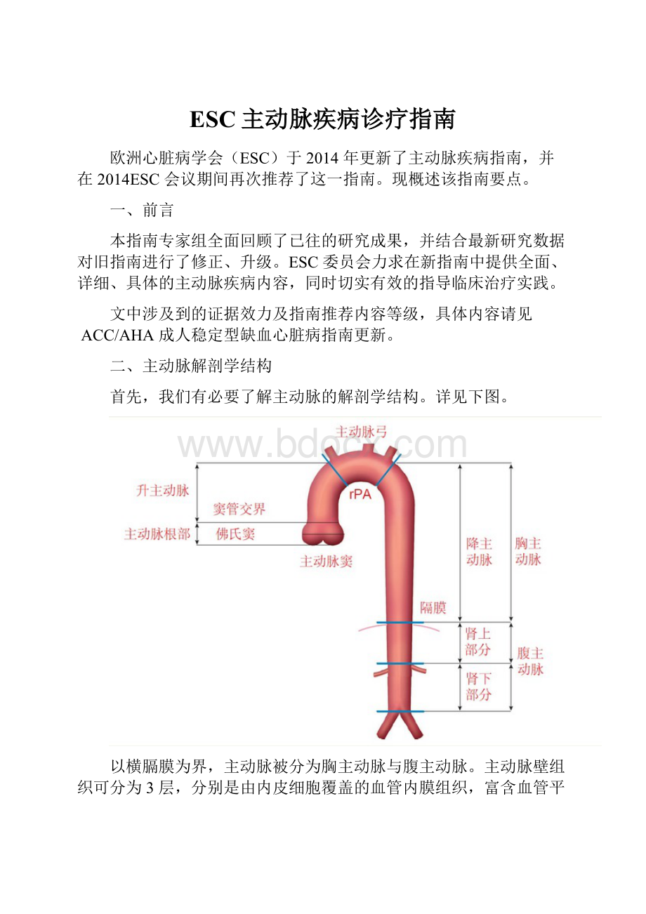 ESC主动脉疾病诊疗指南.docx