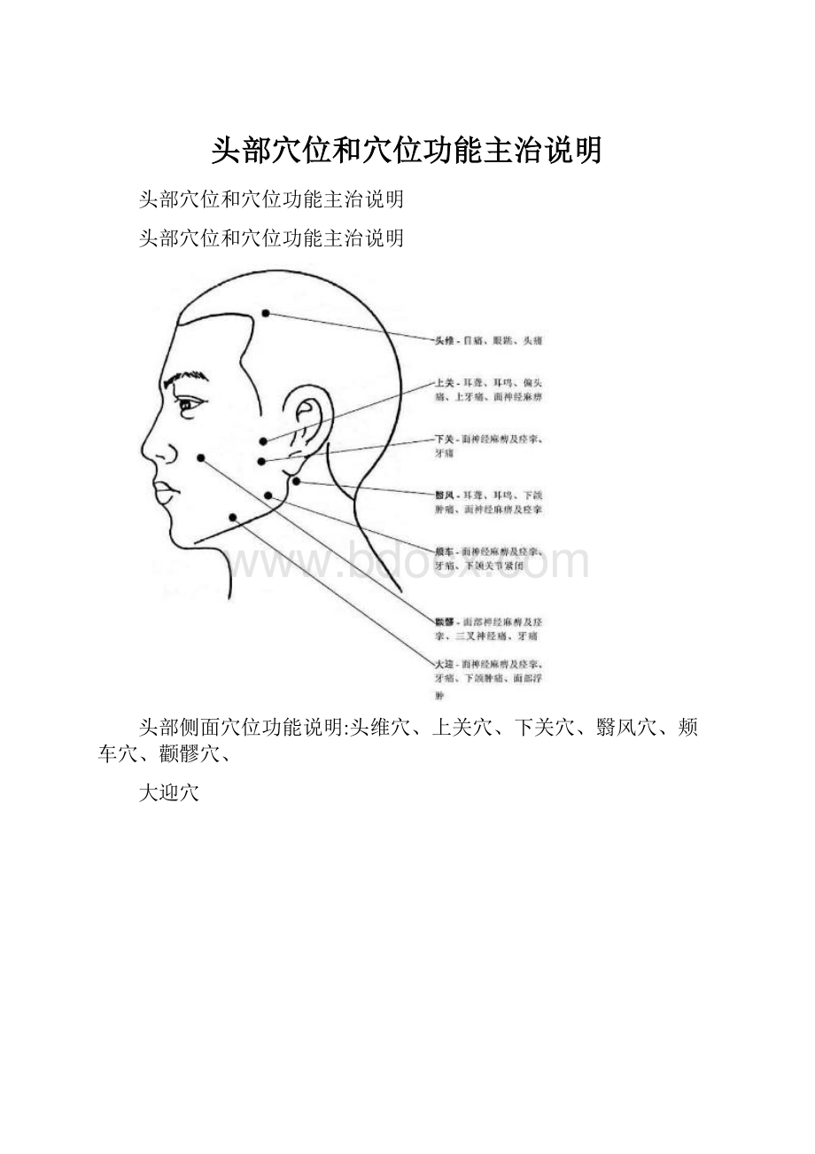 头部穴位和穴位功能主治说明.docx