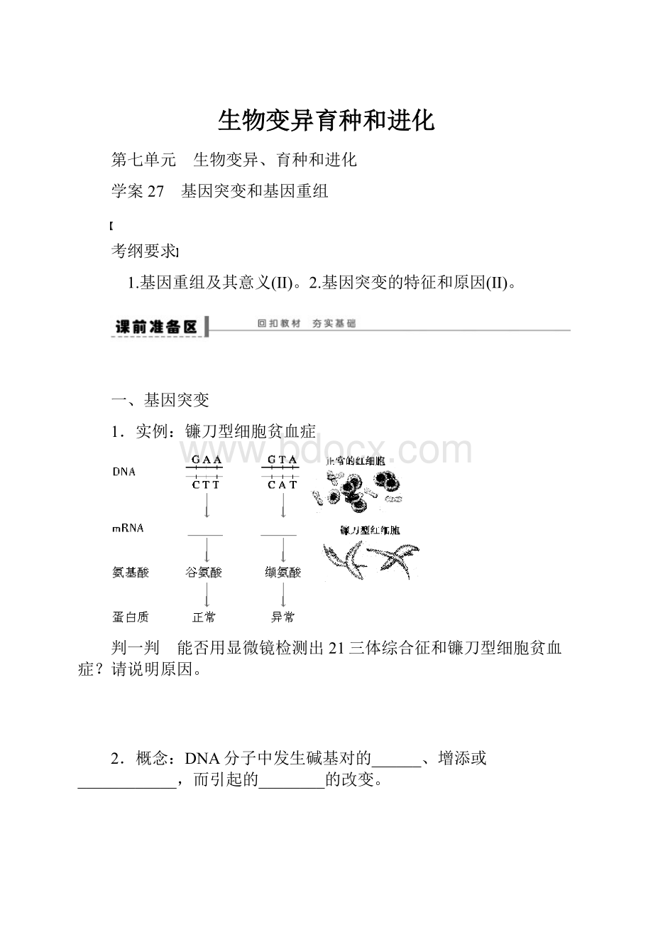 生物变异育种和进化.docx_第1页