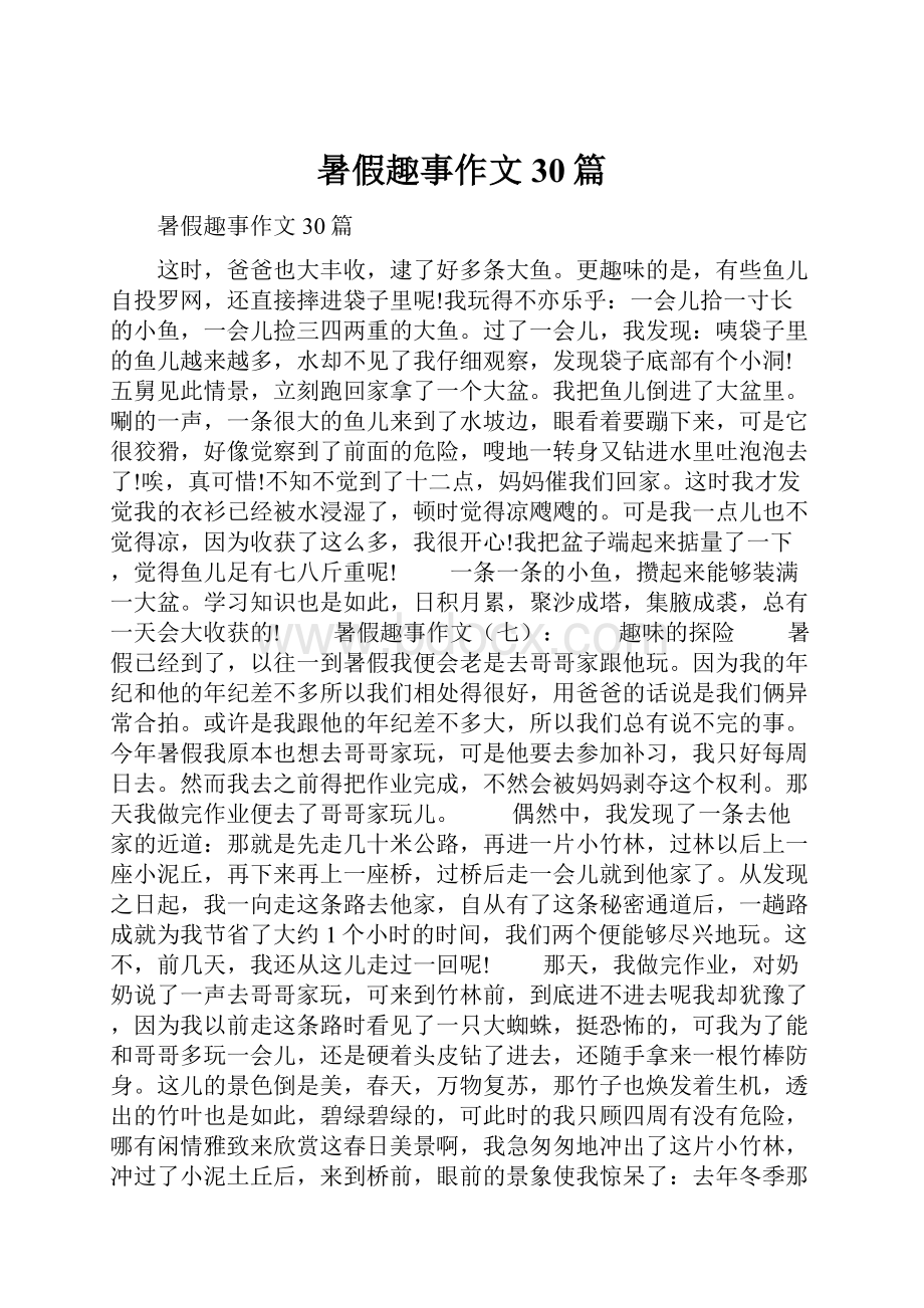 暑假趣事作文30篇.docx