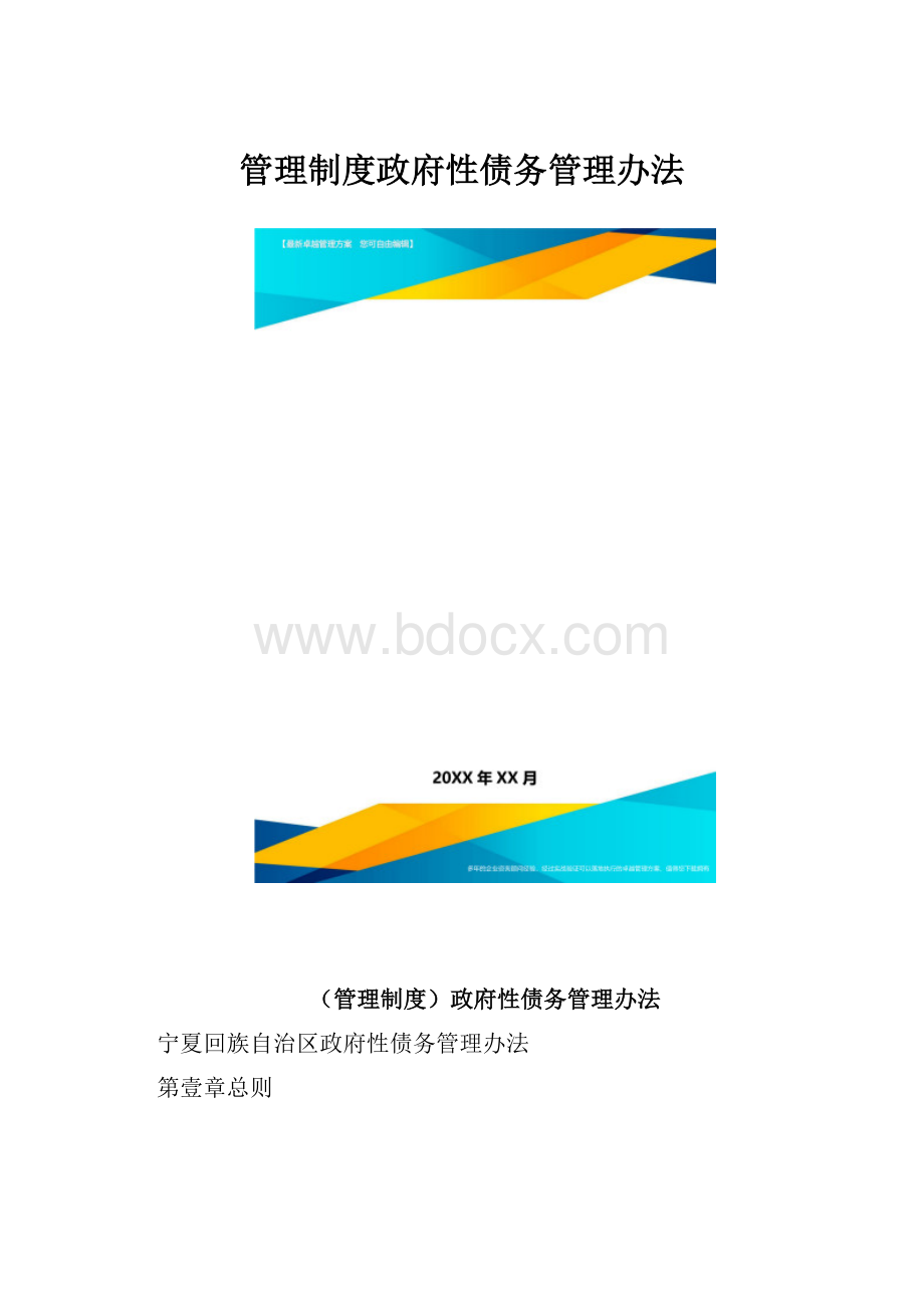 管理制度政府性债务管理办法.docx