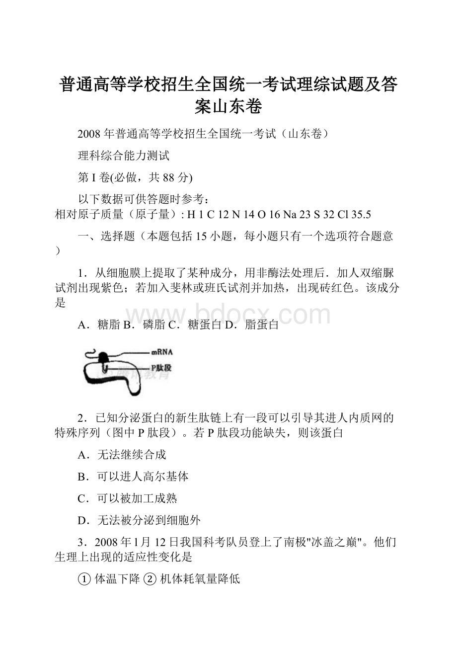 普通高等学校招生全国统一考试理综试题及答案山东卷.docx_第1页