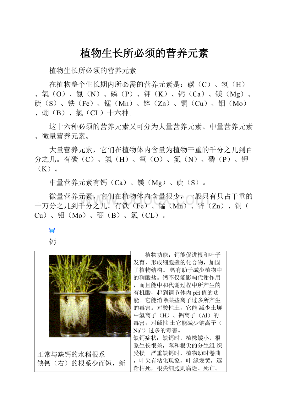 植物生长所必须的营养元素.docx_第1页