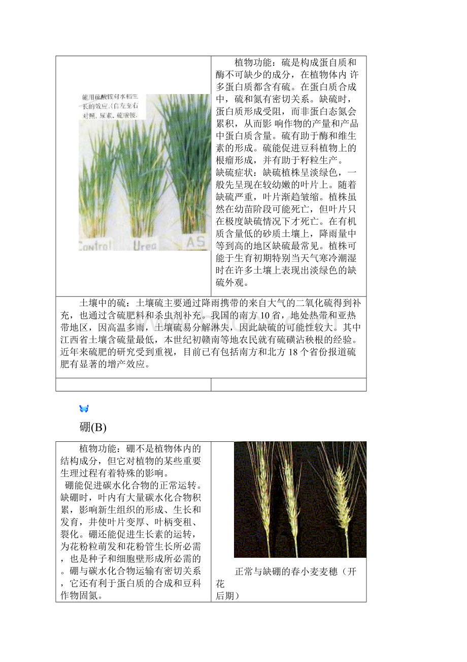 植物生长所必须的营养元素.docx_第3页