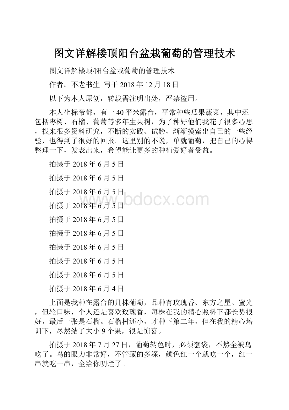 图文详解楼顶阳台盆栽葡萄的管理技术.docx