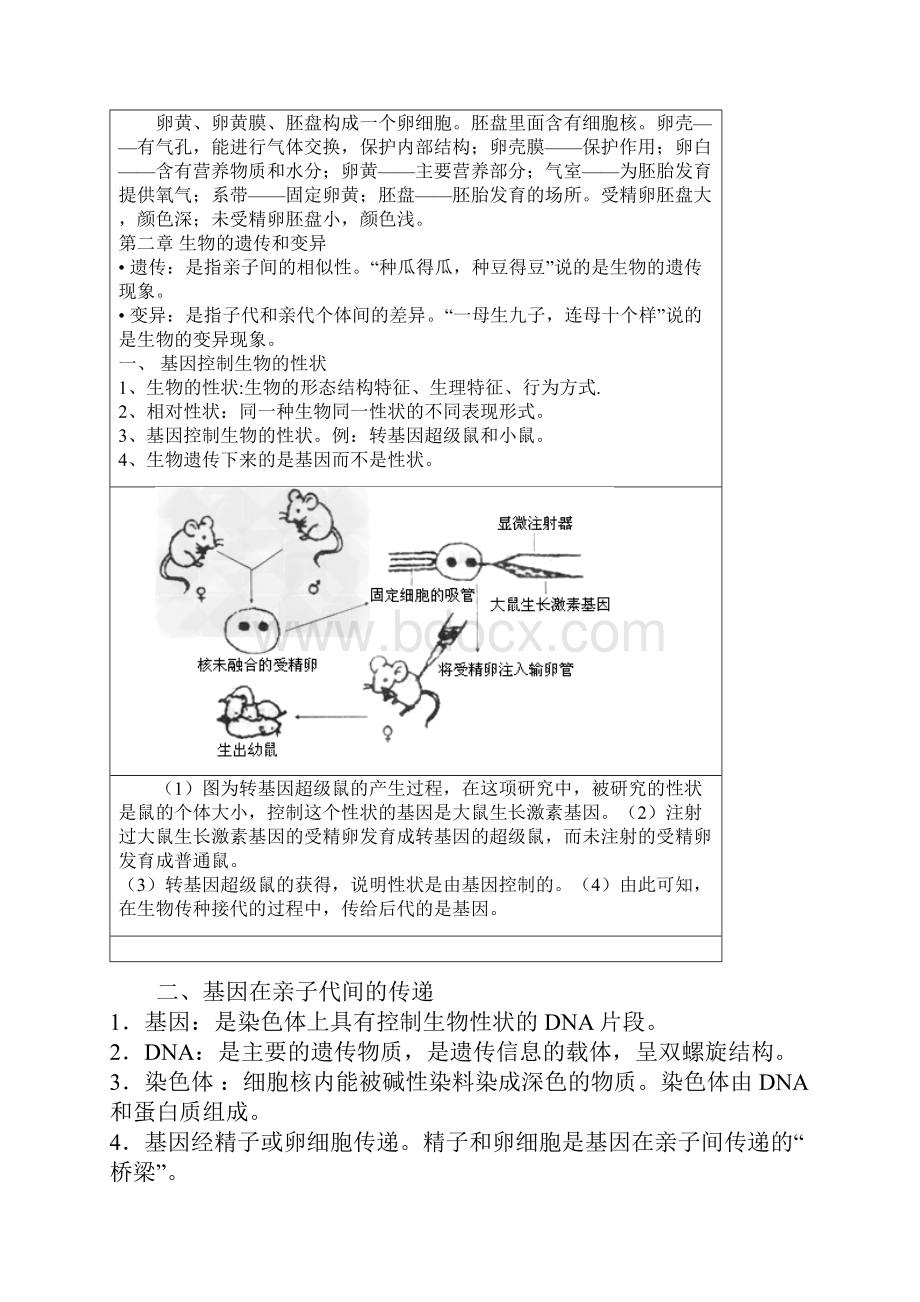 八下生物期末复习资料.docx_第3页