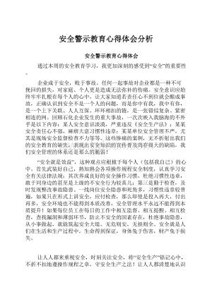 安全警示教育心得体会分析.docx