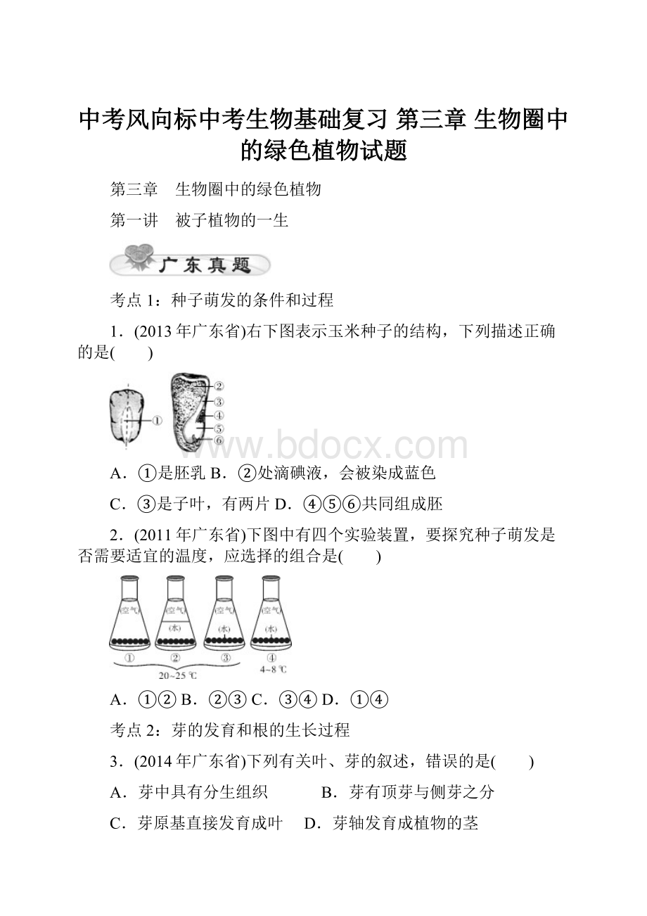 中考风向标中考生物基础复习 第三章 生物圈中的绿色植物试题.docx