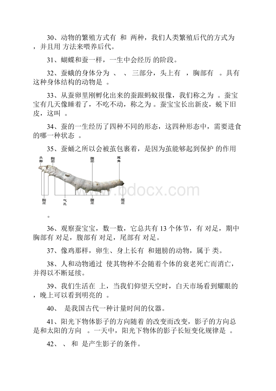 教科版三年级科学下册填空专项训练含答案.docx_第3页