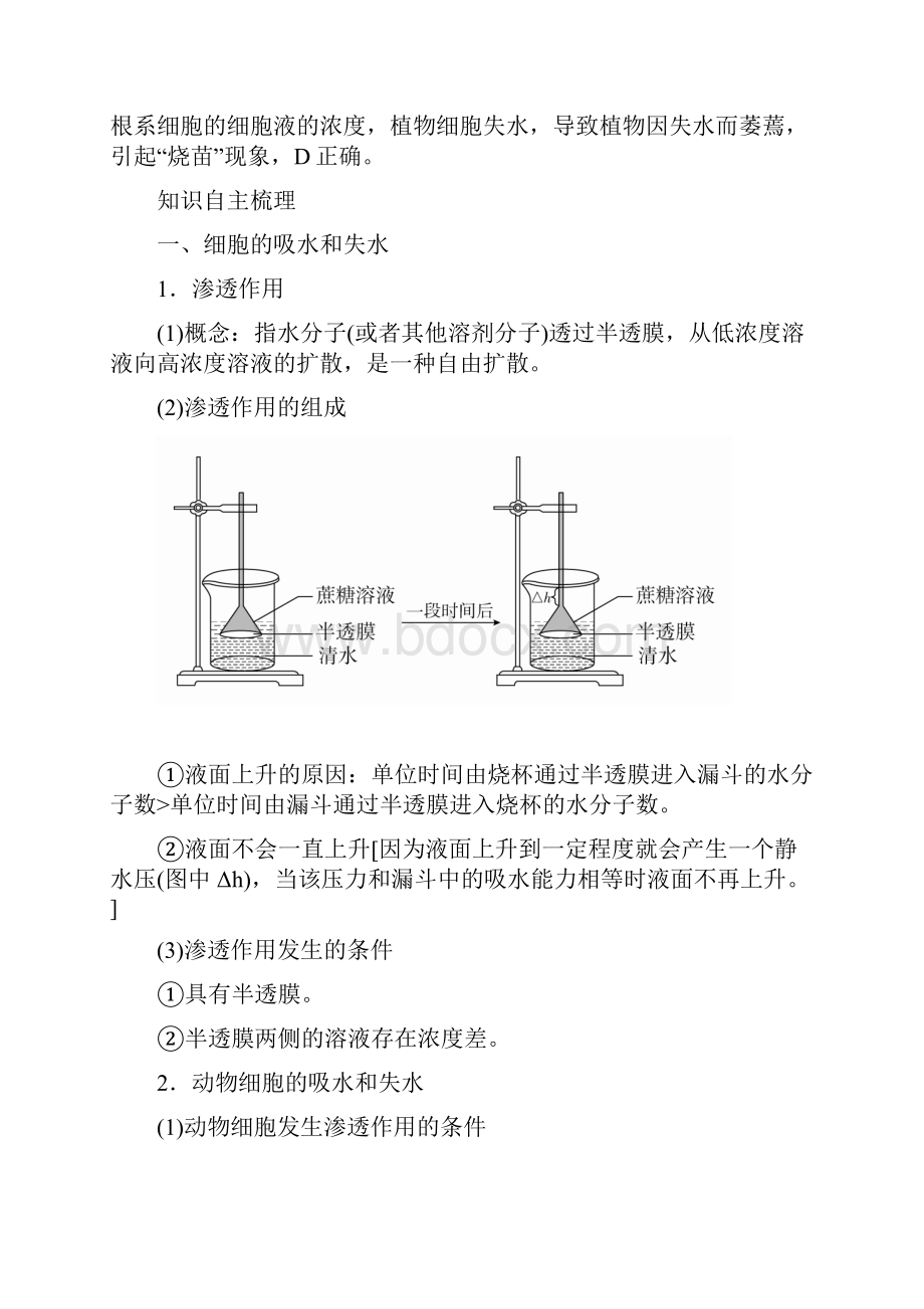 版高考生物复习第二单元第7讲物质跨膜运输的实例和方式讲义.docx_第3页