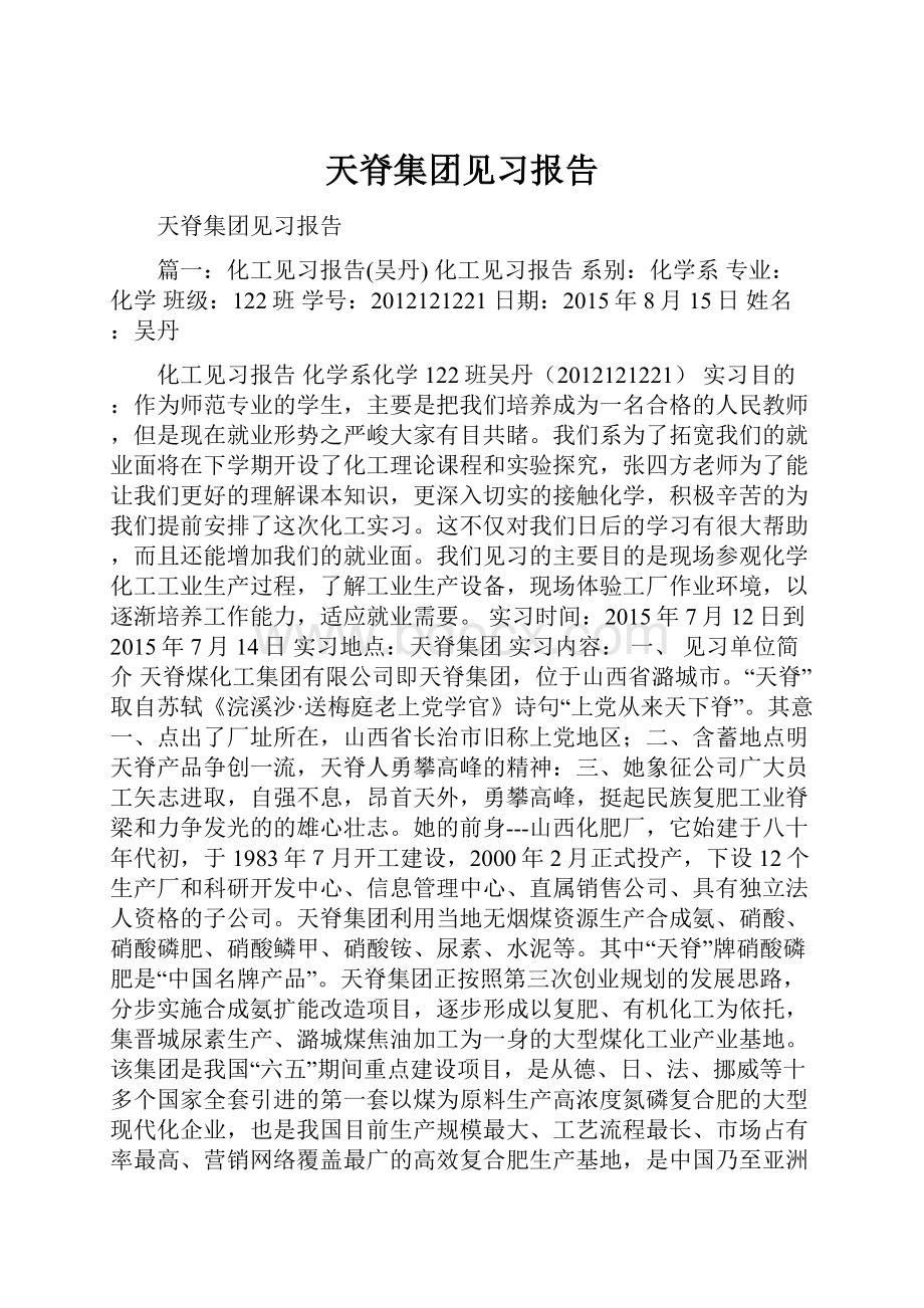 天脊集团见习报告.docx_第1页