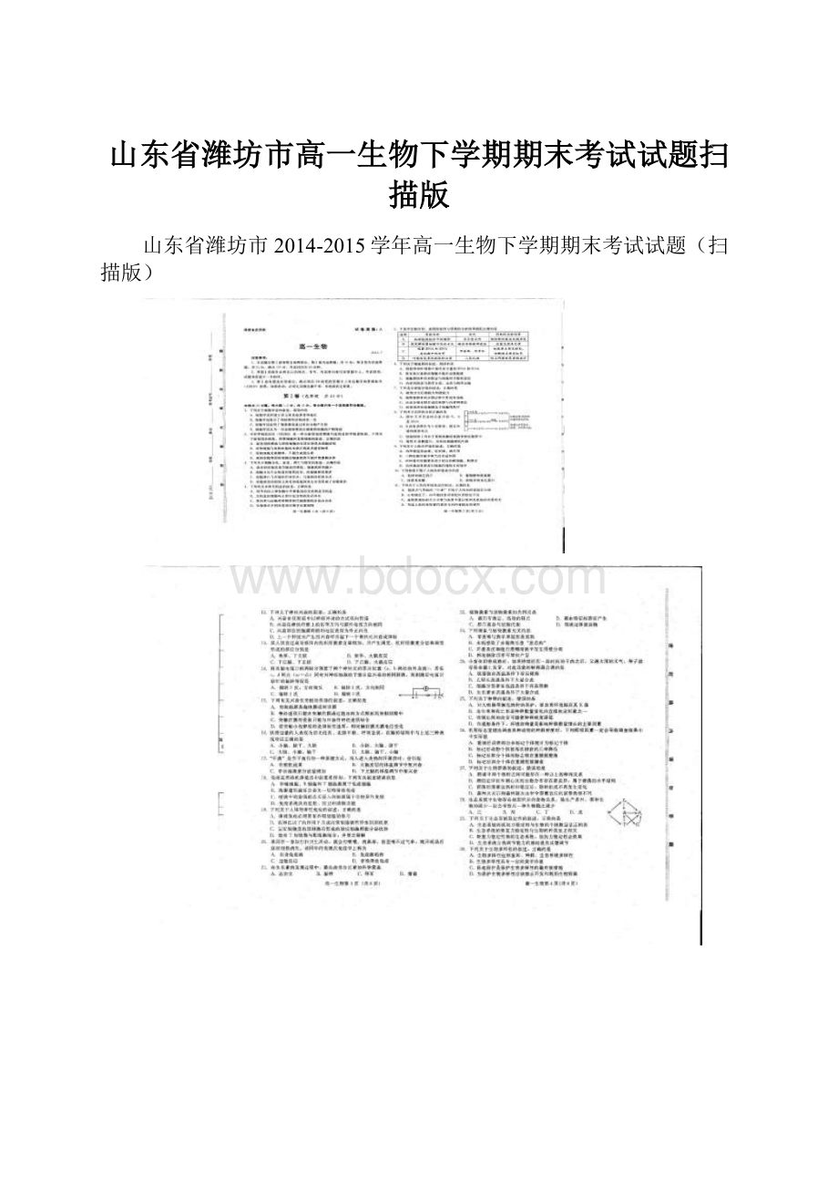 山东省潍坊市高一生物下学期期末考试试题扫描版.docx