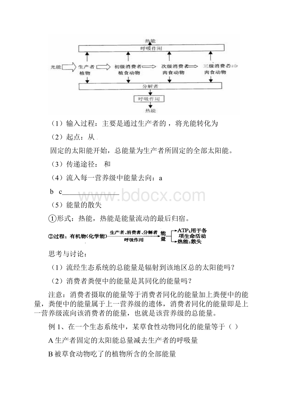 最新精编高中人教版选修三高中生物52《生态系统的能量流动》导学案.docx_第2页