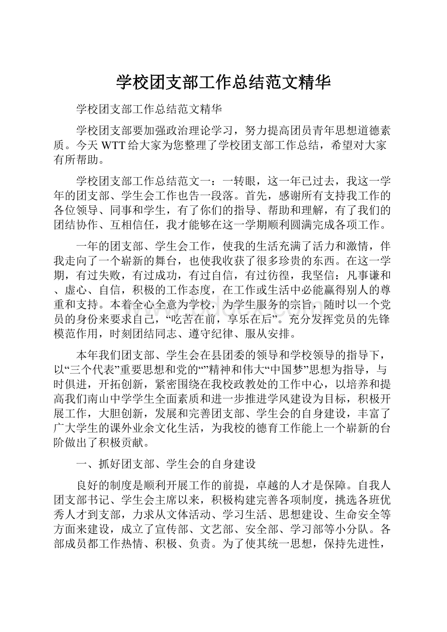 学校团支部工作总结范文精华.docx