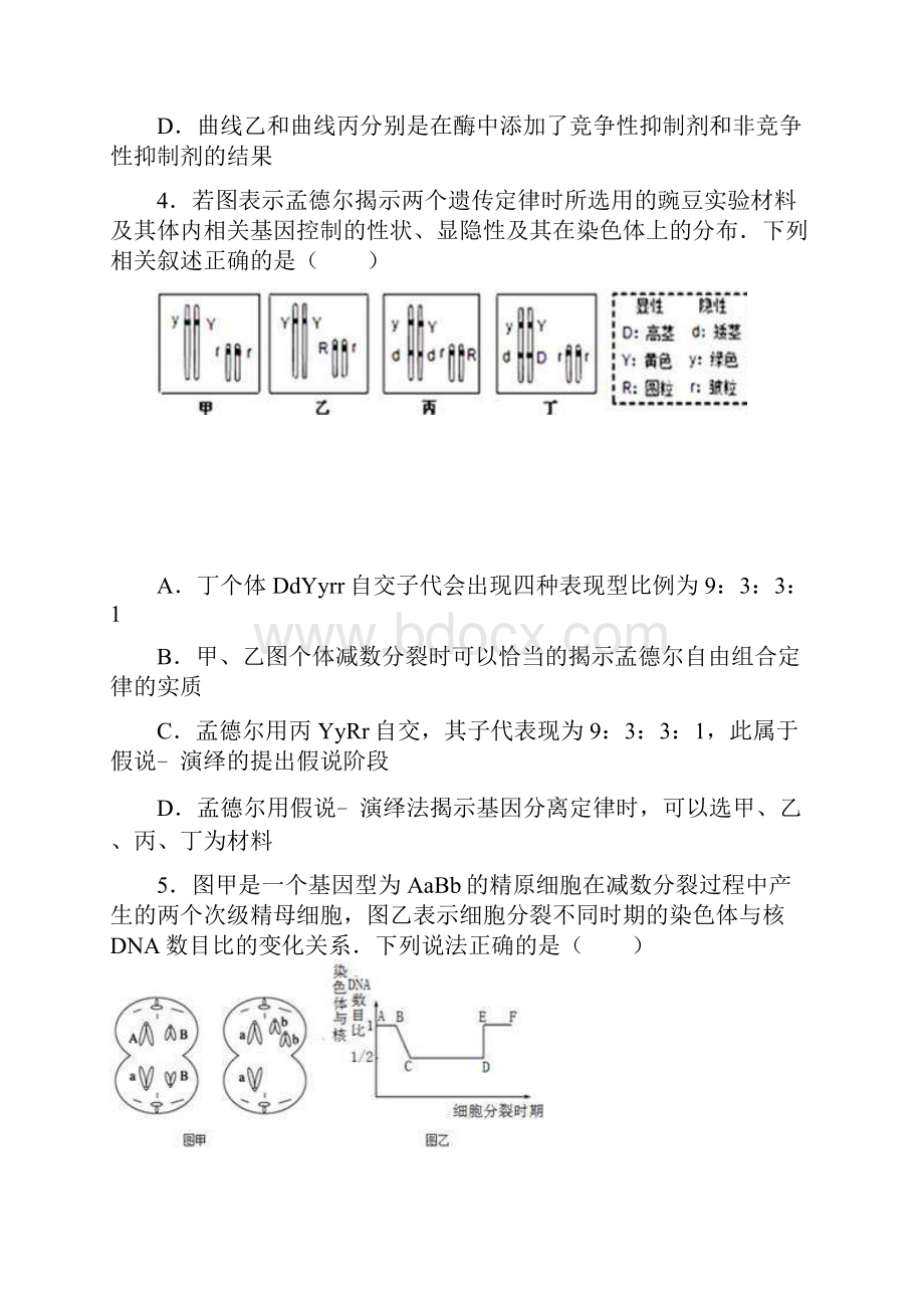 天津市武清区杨村一中届高三下学期第一次月考生物.docx_第3页