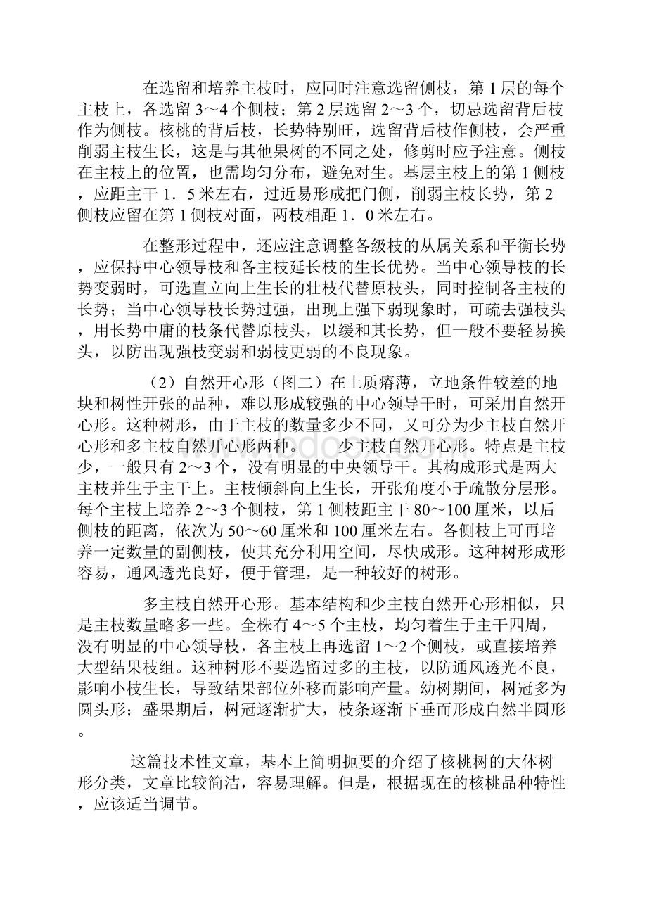 核桃树整形修剪技术.docx_第2页