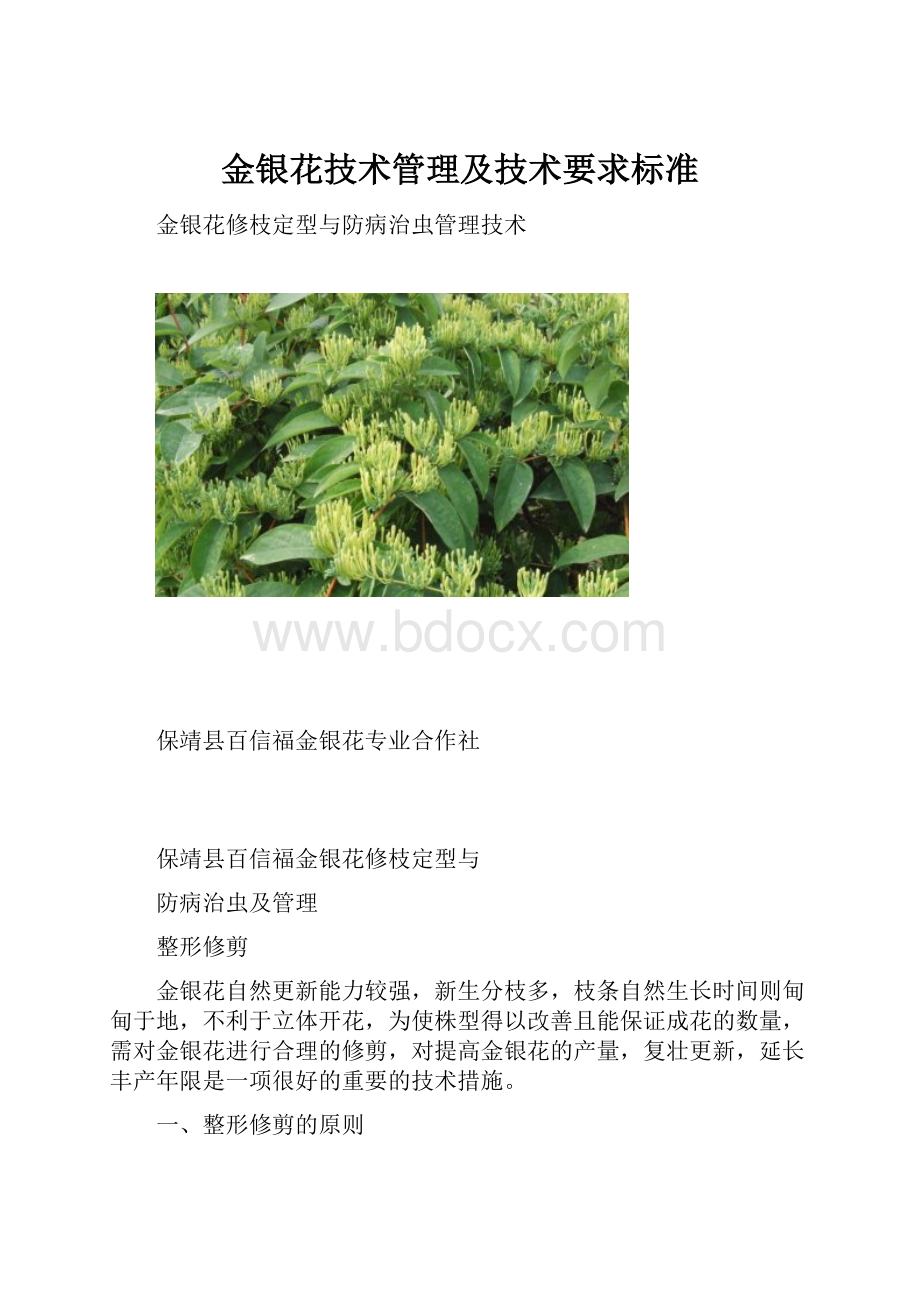 金银花技术管理及技术要求标准.docx