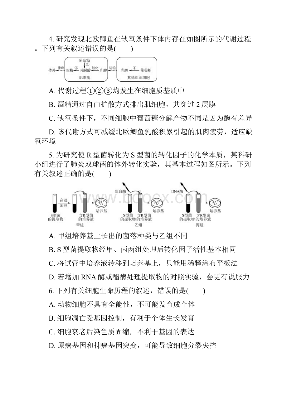 江苏省苏州市届高三生物上学期期末考试试题.docx_第2页