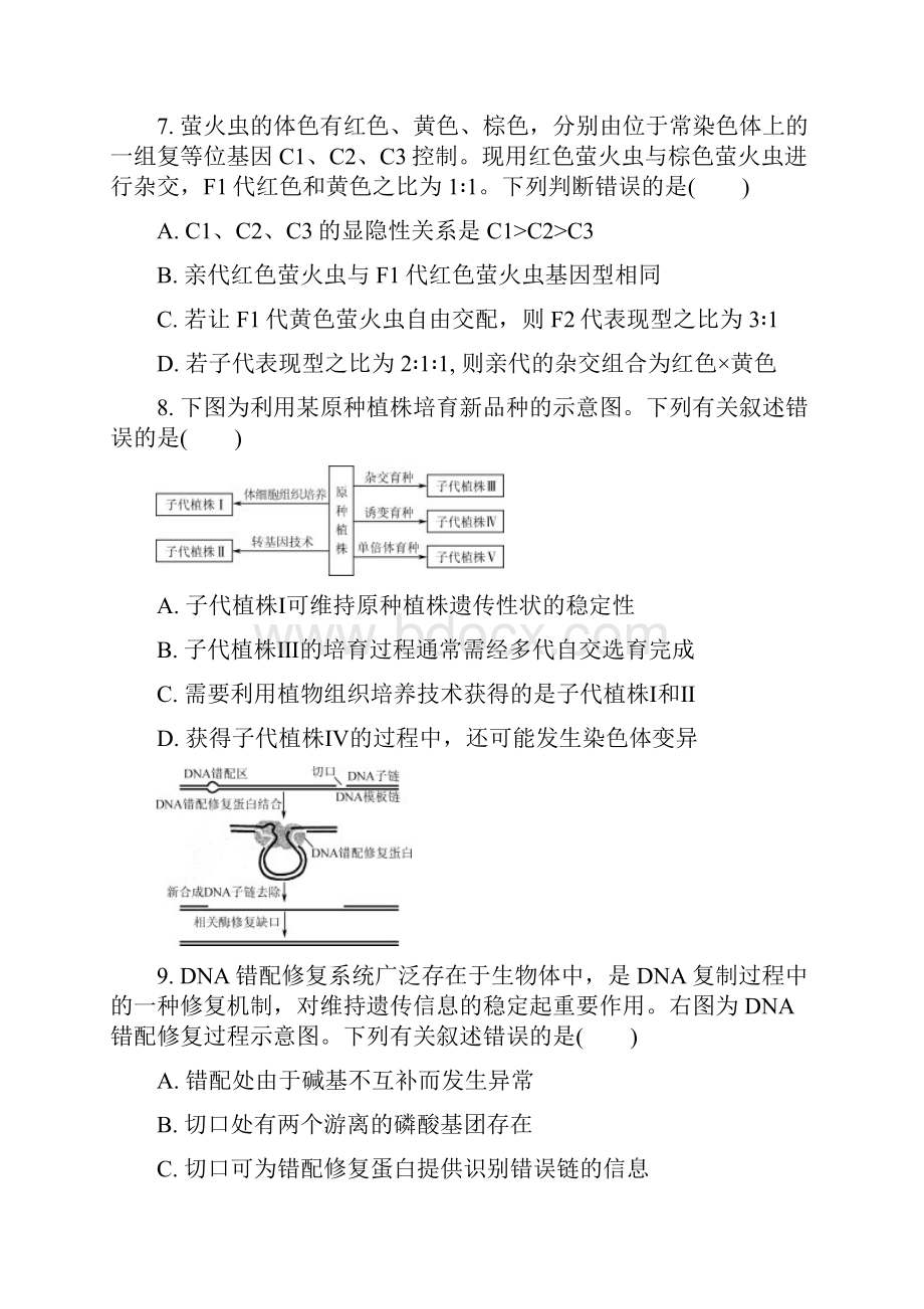 江苏省苏州市届高三生物上学期期末考试试题.docx_第3页