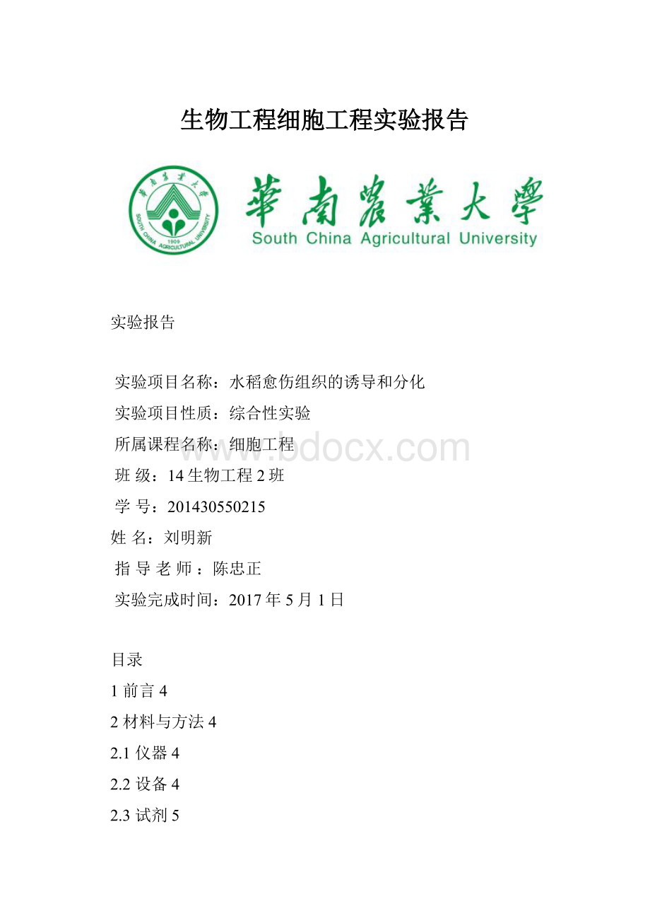 生物工程细胞工程实验报告.docx