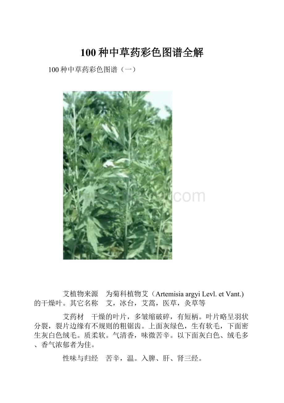 100种中草药彩色图谱全解.docx