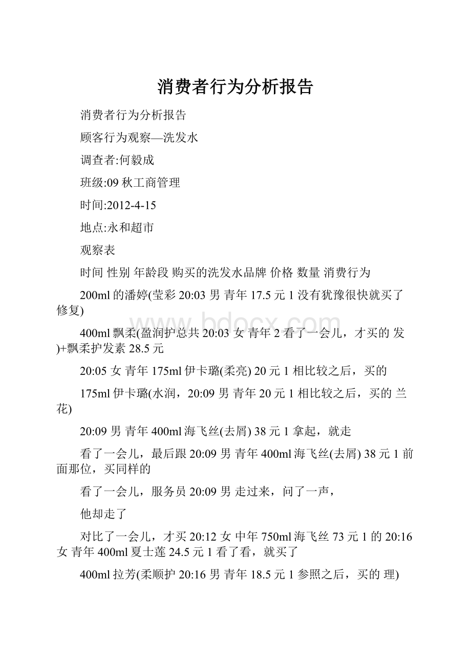 消费者行为分析报告.docx_第1页