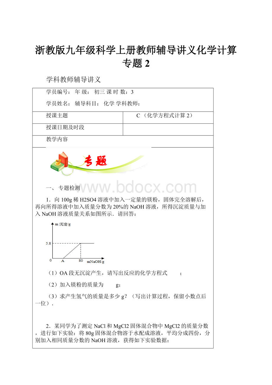 浙教版九年级科学上册教师辅导讲义化学计算专题2.docx