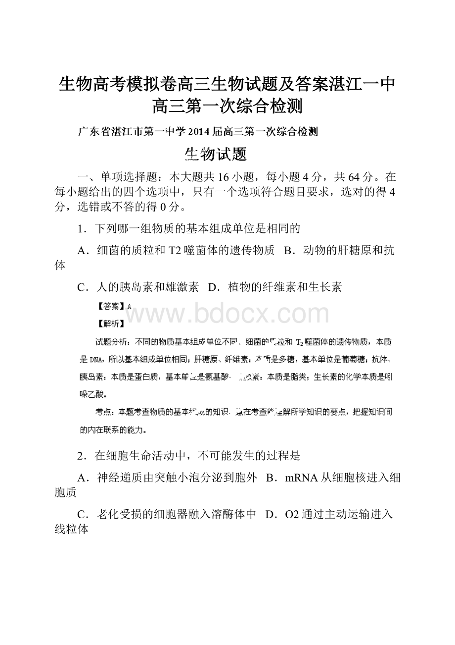 生物高考模拟卷高三生物试题及答案湛江一中高三第一次综合检测.docx