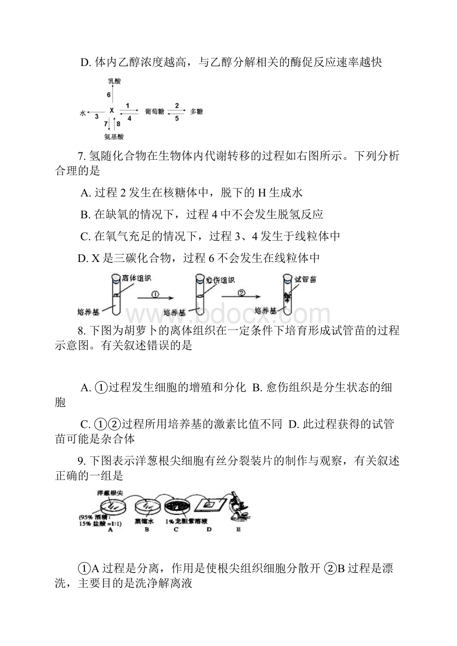 杨浦二模上海市杨浦区届高三下学期学业质量调研生物试题Word版及答案.docx_第3页