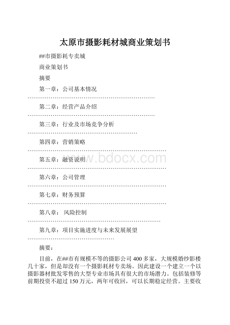 太原市摄影耗材城商业策划书.docx